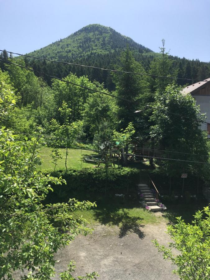 Pensiunea Panorama Băile Tusnad Εξωτερικό φωτογραφία