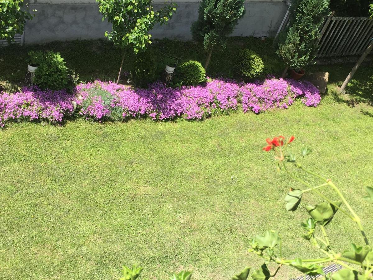 Pensiunea Panorama Băile Tusnad Εξωτερικό φωτογραφία