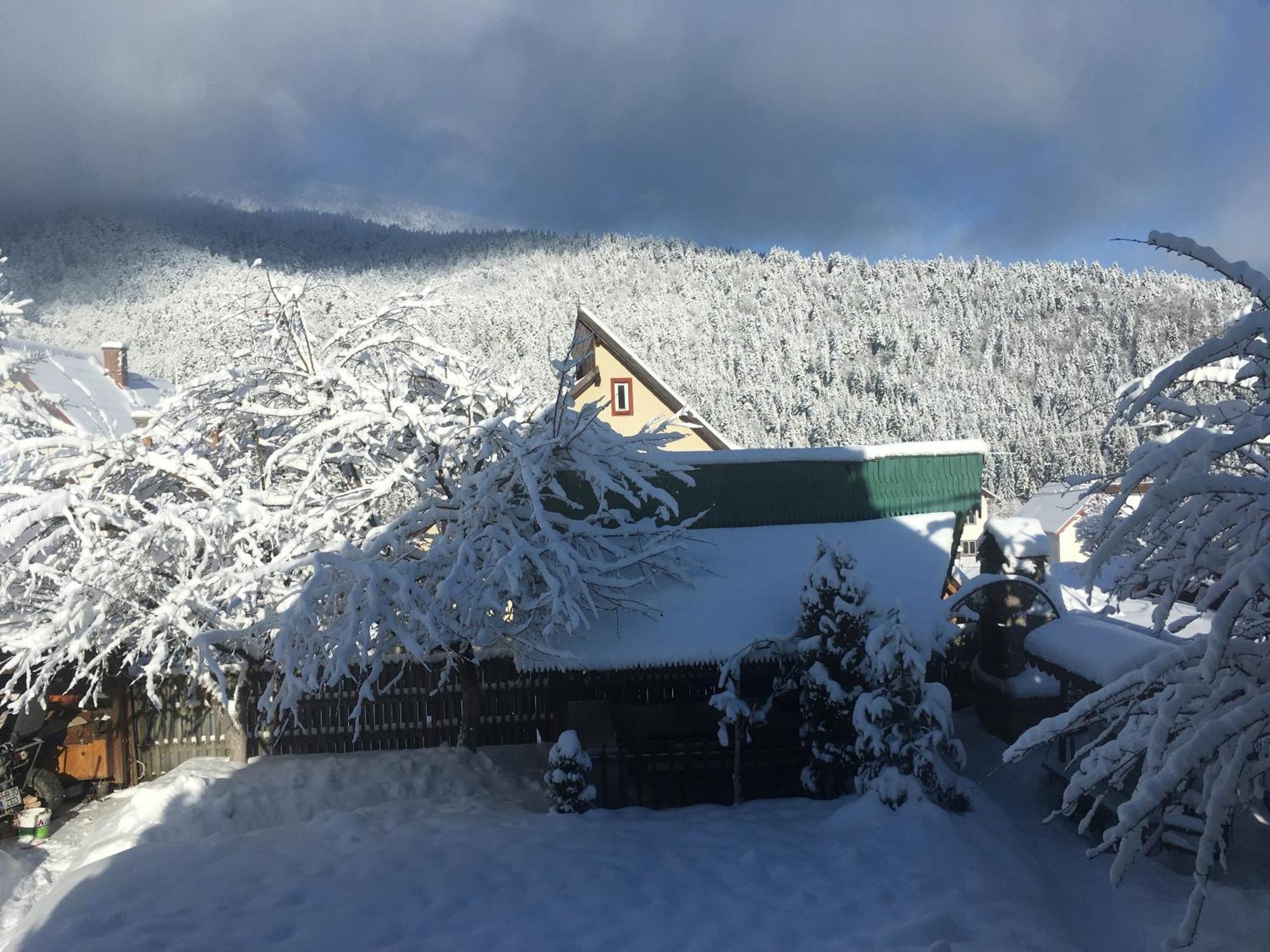 Pensiunea Panorama Băile Tusnad Εξωτερικό φωτογραφία