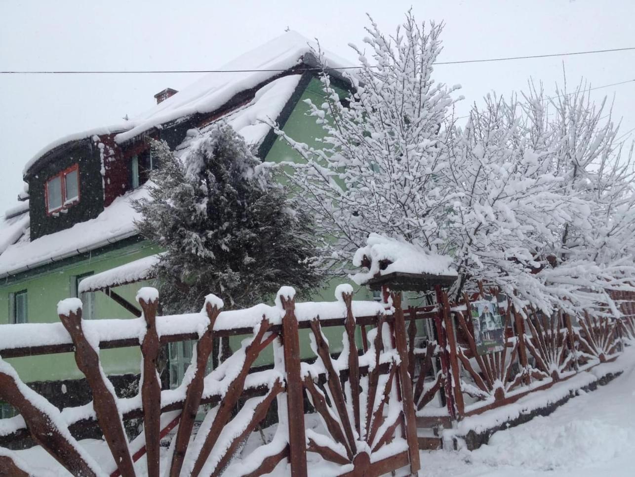 Pensiunea Panorama Băile Tusnad Εξωτερικό φωτογραφία